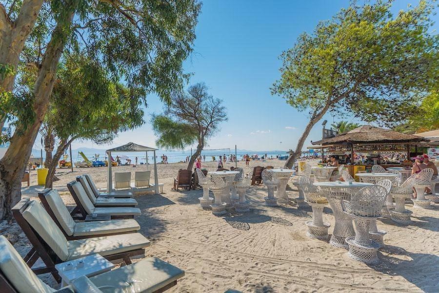 Villa Northern Star Alcudia  Dış mekan fotoğraf